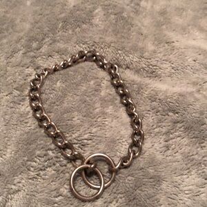 Elegant silver dog chain collar